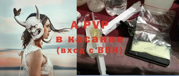 сатива Богородск