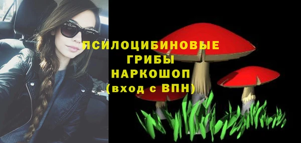 mdpv Богданович