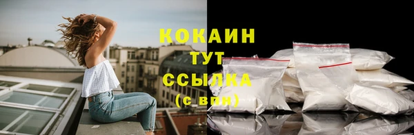сатива Богородск