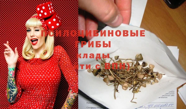 не бодяженный Богородицк