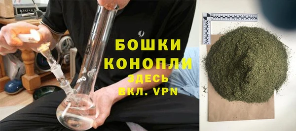 сатива Богородск