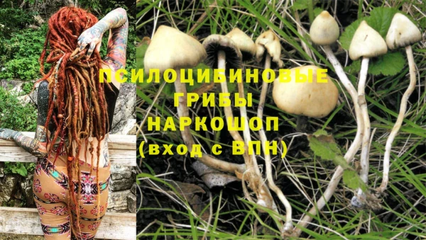 сатива Богородск