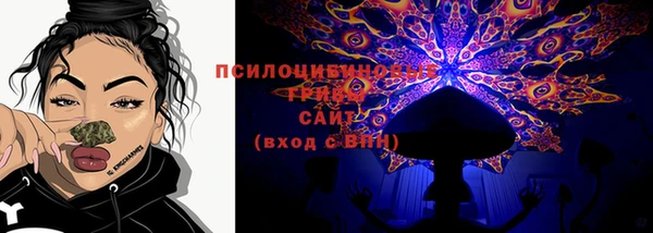 сатива Богородск