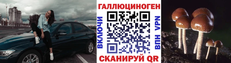Псилоцибиновые грибы Psilocybe  Ейск 